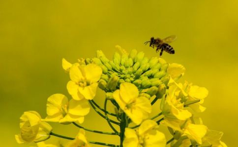 24����֮���ֳ�ʲô����������