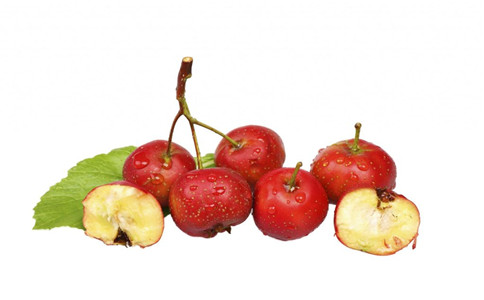 ��Ѫ֬��ʳ�� �����������Ч��