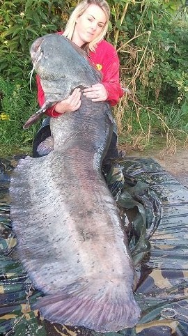 Ӣ��Ů�ӵ������� ��2.13���ش�53.5���ͼ��