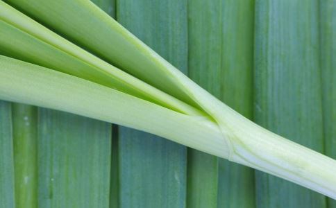 ��ð��к ��Щ�����β�