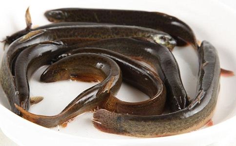 ������5��ô���ʳ�� ����������