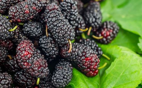 Ů�Գ����ֺ�ɫʳ��������˥��