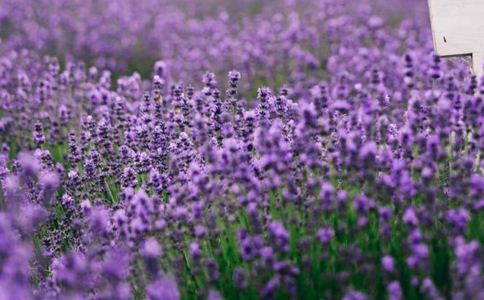 �ļ��������ø��ֵ�7���ؾ�