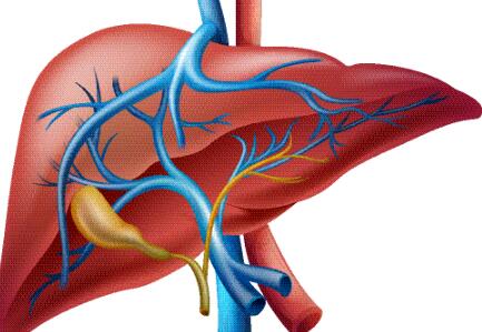 �Ҹ��и��������������⴫Ⱦ�ķ�������Щ?