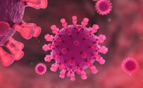 ���̲���ʲô�� ���Ԥ��