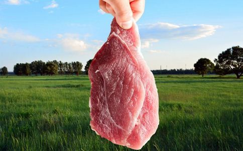 ע��������7�����