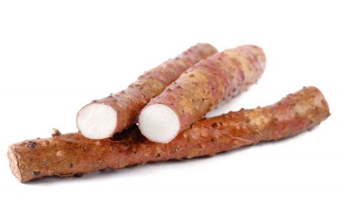 ʪ���ز����� ����5��������ʪ