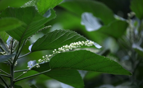 �Ϸ����ˮ�ȵĹ�Ч