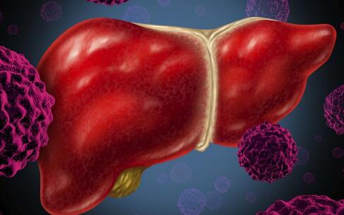 �Ҹγ���Щ�߲˱ȽϺ�