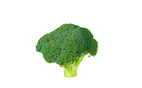 Ů��Ƥ�����8��ʳ��