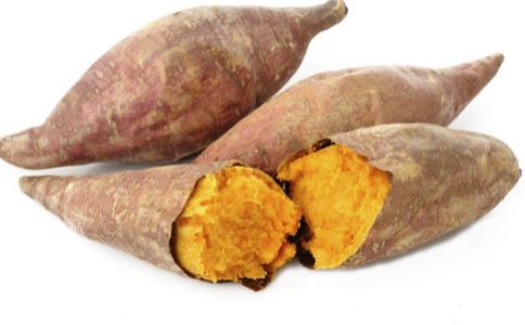 ����ʳ��ҩʳ���� ���������β�