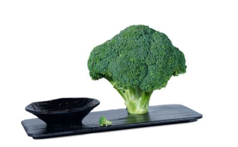 ����ʳ��ҩʳ���� ���������β�