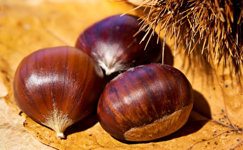 �������������󳣼�ʳ��