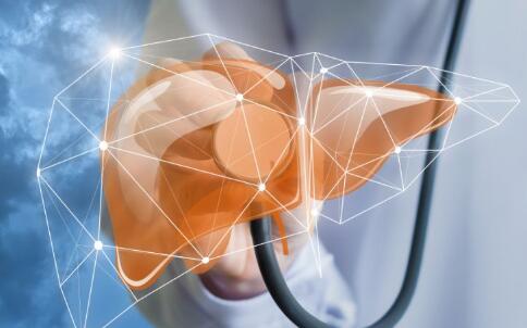 �β���ʳ����������Ҫ��