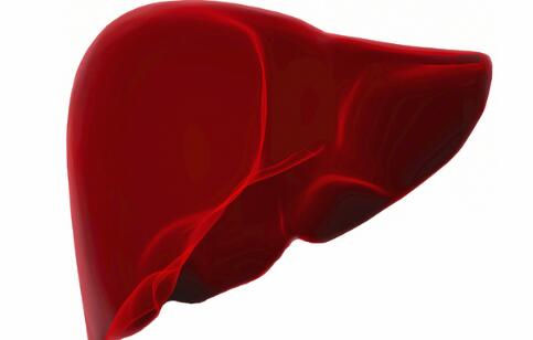 �Ҹ��������� �����������