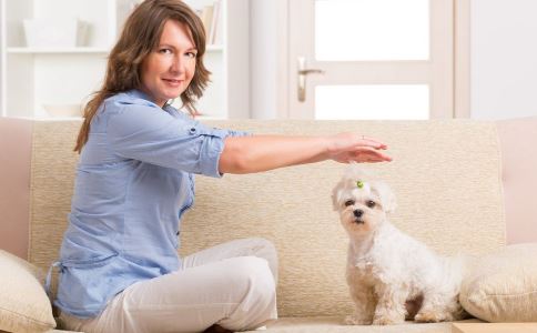 ��������ЩΣ�� ��������ɱ��