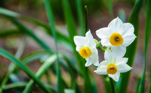 ��������֮��֢���ղ���