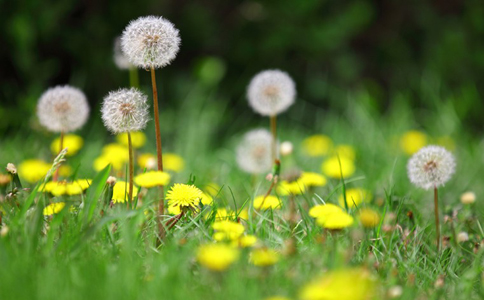 �ѹ�Ӣ��ˮ�ȵĹ�Ч