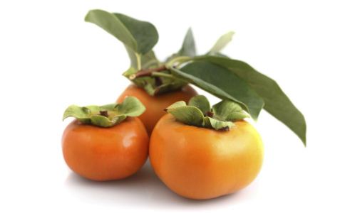 �ո����ܳ���Щʳ�