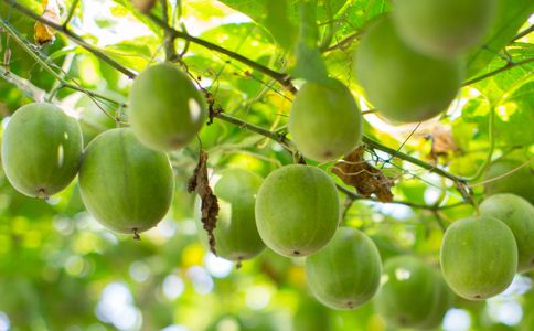 �޺�����������Ч�ͱ�������