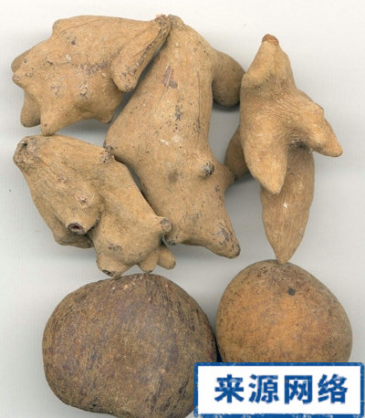 ������ҩ�屶�ӵ��ΰ��鷽