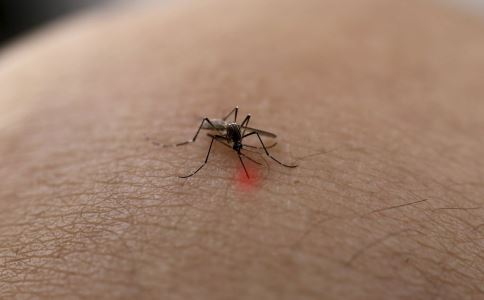 �ļ��ó��ܶȸ߷��� ����6����Ȼֹ����