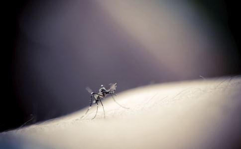 �ļ��ó��ܶȸ߷��� ����6����Ȼֹ����