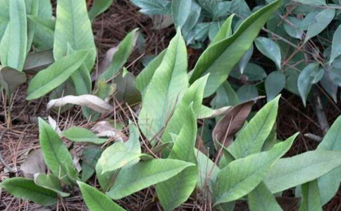 ʯΤ��ˮ�ȵĹ�Ч