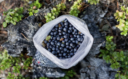 7�����а�����������֬��