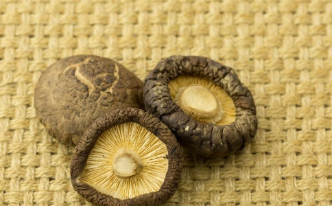 ���˶���㹽����Ԥ����ð