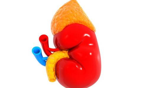 �����۾����׿���������