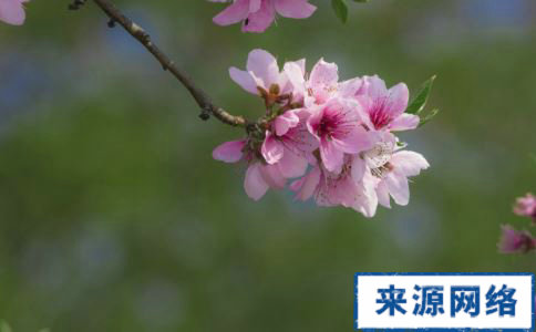 �һ���ˮ�ȵĹ�Ч