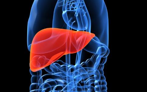 8��ʳ����㱣����ĸ���