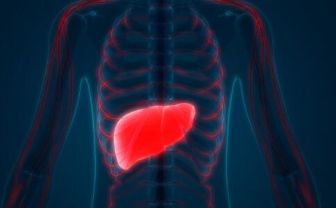 �Ҹλ�����ҩ������12������