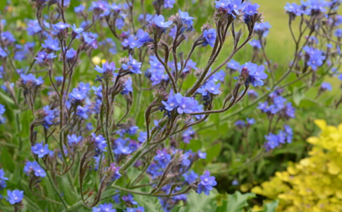 ţ�����ˮ�ȵĽ���