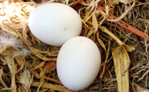 �̵㣺��Щ����˳Լ���