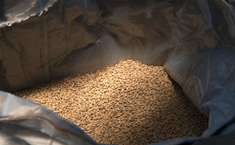 ����������ô�� ��ʲô�ɻ�θ