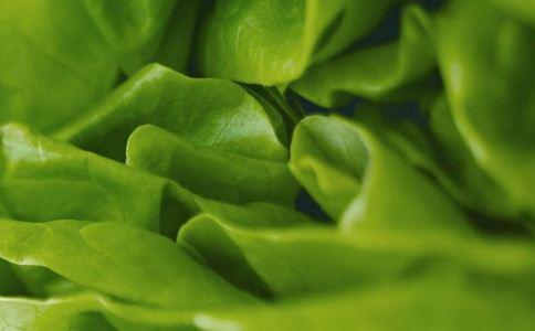 Ұ��Ӫ����ֵ�� ��Ұ�˵��Ĵ�ע������