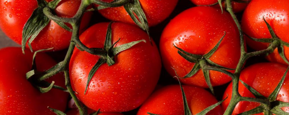 ��Ѫ˨���˳�ʲô�ã������ʳ������Ѫ˨�Ŀ���