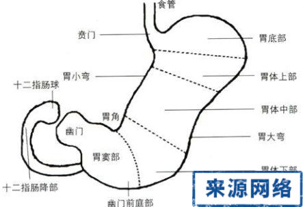 θ�������Ʒ���