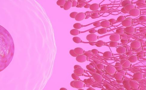 Ϊ�γ��־�Һ�쳣 3��ԭ��������