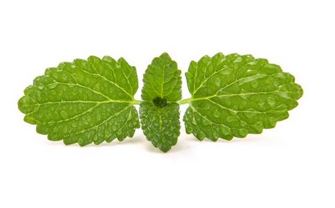 �в�ҩ�׽ڷ磺��������Ч