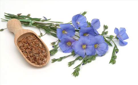 ����������ô�� ��������������