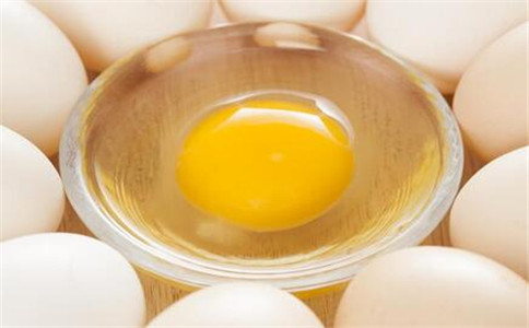 С����ʳ��ʲô ����������ʳ��