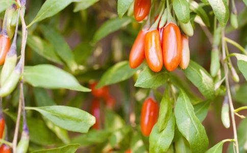 ɣҶ��ˮ�ɷ����ļ���ð