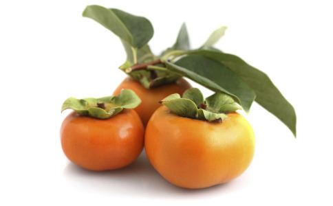 ���������� ������ע��N����ʳ����