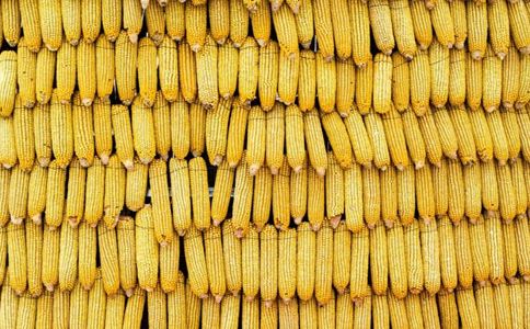 ������7��ʳ���׻�����