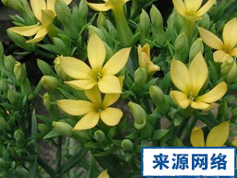 ��!�ΰ���ʹ��ʳ���ط�!