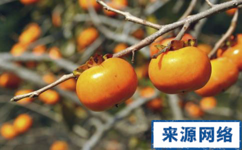 5�ֹ���Ƥ��ò�Ҫ��