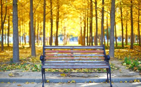 �＾ҩ��ʳ�Ʒ�������˥